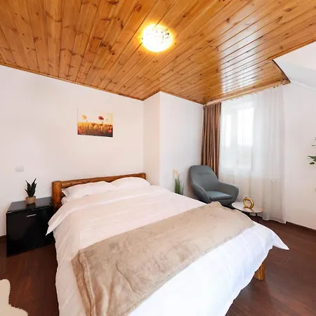 Casa Calatorului 山林小屋 Rîşnov
