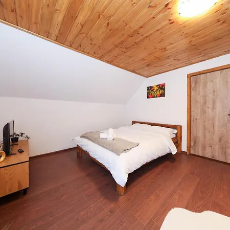 Casa Calatorului 山林小屋 Rîşnov