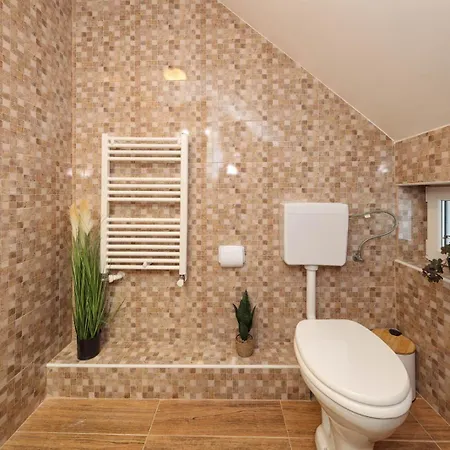 Casa Calatorului 山林小屋 Rîşnov